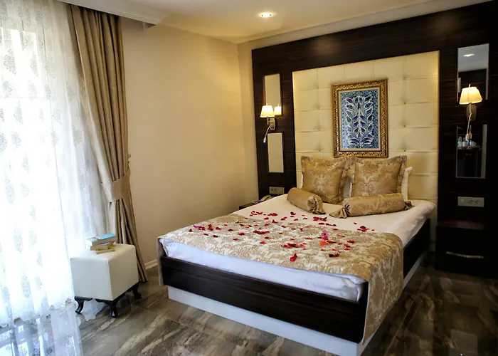 فينوس سيوت 3*